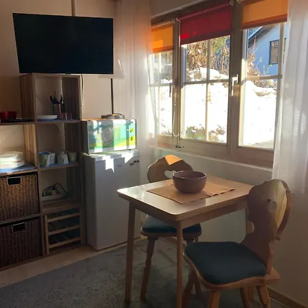 Chasa Bazzi Apartment Scuol